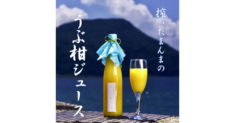 【ふるさと納税】搾ったまんまのうぶ柑ジュース 720ml ストレートジュース 甘夏 みかん オレンジ 甘酸っぱさ ほろ苦い 爽やかな味 産島 無人島 産島みかん 果物 フルーツ フルーツジュース ドリンク 柑橘 飲料 国産 熊本県 天草市 お取り寄せ 送料無料