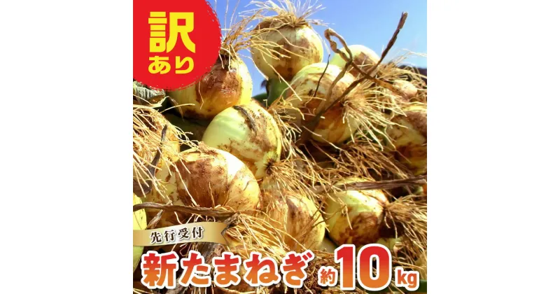 【ふるさと納税】【先行予約】 訳あり 新たまねぎ 玉ねぎ 約 10kg 令和7年4月出荷 オーガニック 栽培期間中 農薬 化学肥料 不使用 安心 安全 野菜 サラダ オニオンスープ お取り寄せ 熊本県 天草市 送料無料