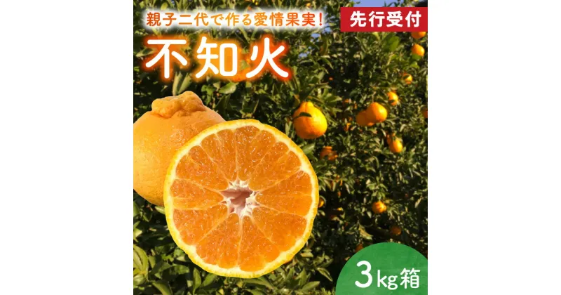 【ふるさと納税】先行受付 不知火 3kg 8～12玉 箱 天草産 柑橘 みかん 樹上完熟栽培 上品な甘さ 果物 フルーツ 果樹園 有楽園 お取り寄せ お取り寄せフルーツ のし対応可 常温配送 熊本県 天草市 送料無料