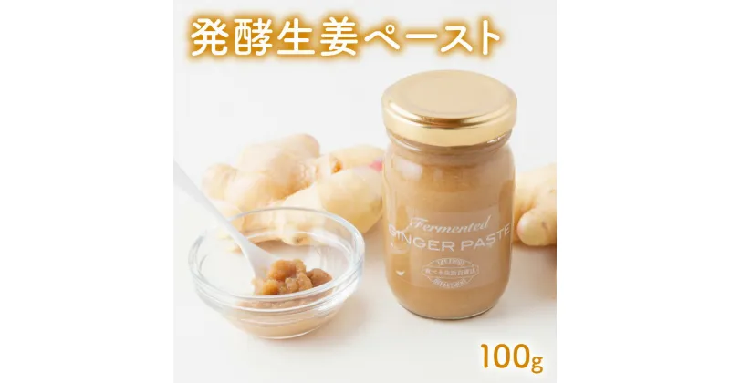 【ふるさと納税】発酵生姜 ペースト 100g 生姜 無添加生姜 乳酸菌パワー ジンジャー ジンジャーペースト 梅の花 乳酸菌 お味噌汁 トースト 常温 食品 加工品 熊本県 天草市 お取り寄せ お取り寄せグルメ 送料無料