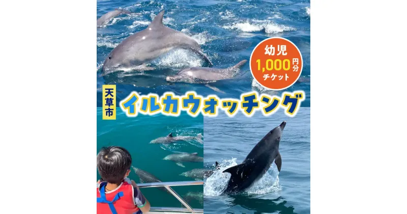 【ふるさと納税】イルカウォッチング チケット 1枚 1,000円分 利用券 幼児 2歳以上 体験 観光 体験プラン クルーズ クルージング 約1時間 ミナミハンドウイルカ イルカ鑑賞 イルカセンター アクティビティ お取り寄せ 熊本県 天草市 送料無料