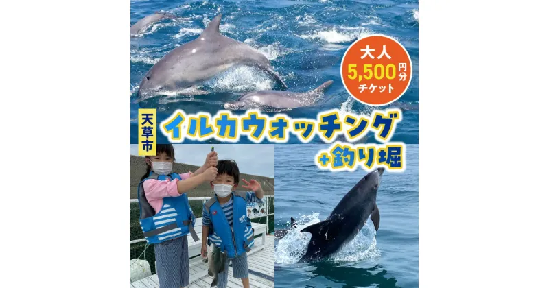 【ふるさと納税】イルカウォッチング 釣り堀 チケット 1枚 5,500円分 利用券 大人 1名様 体験 観光 クルーズ クルージング 各 約1時間 ミナミハンドウイルカ イルカ鑑賞 釣り 魚 キャッチアンドリリース 持ち帰り可 イルカセンター アクティビティ 熊本県 天草市 送料無料