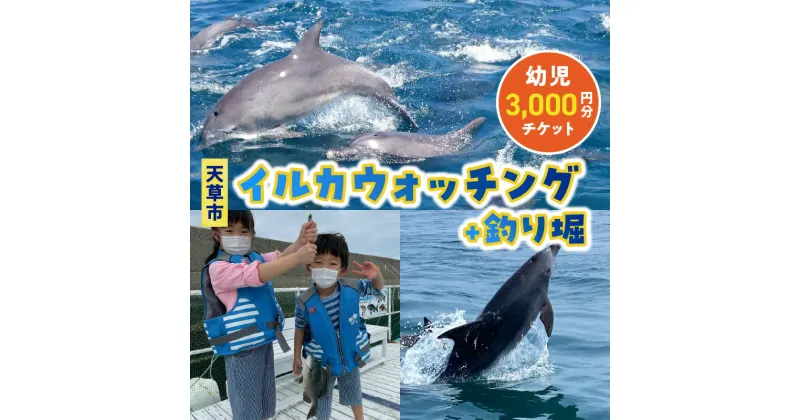 【ふるさと納税】イルカウォッチング 釣り堀 チケット 1枚 3,000円分 利用券 幼児 2歳以上 観光 クルーズ クルージング 各 約1時間 ミナミハンドウイルカ イルカ鑑賞 釣り 魚 キャッチアンドリリース 持ち帰り可 イルカセンター アクティビティ 熊本県 天草市 送料無料