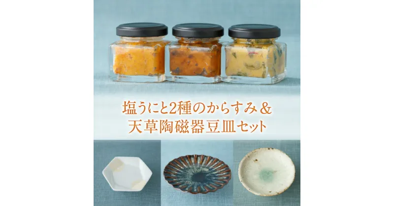 【ふるさと納税】塩うに うにからすみ 生からすみ和え 各 1個 天草 陶磁器 豆皿 セット 高級食材 うに からすみ おつまみ 食品 森山陶器 お皿 皿 お取り寄せ お取り寄せグルメ 熊本県 天草市 送料無料