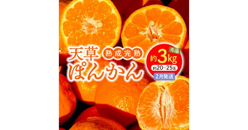 【ふるさと納税】熟成 完熟 天草 ぽんかん 2月発送 約 3kg サイズ混合 約 20玉 ～ 25玉 低しょう系ぽんかん 秀品 鮮度 濃厚 甘さたっぷり 柔らかい果肉 フルーツ おやつ 美味しい 後味が良い 予措 常温 箱 上果園 熊本県 天草市 下浦町 送料無料 〈先行受付〉