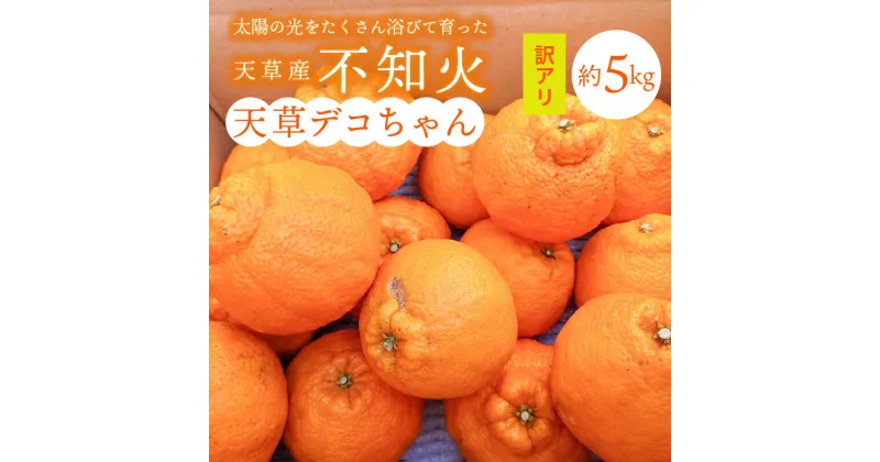 【ふるさと納税】【訳あり】不知火 約 5kg 家庭用 箱 天草産 柑橘 旬 果物 フルーツ 果樹園 しばた農園 サイズ 5L ～ Mサイズ 混合品 デザート スイーツ 食品 国産 お取り寄せ お取り寄せフルーツ 常温配送 熊本県 天草市 送料無料