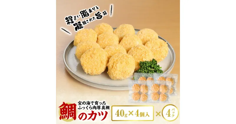 【ふるさと納税】鯛のカツ 160g × 4個 入り 4パック セット 揚げるだけ 程よい 脂乗り 凝縮された旨味 ふっくら 肉厚 小分け 真鯛 タイ カツ 惣菜 おかず お弁当 冷凍配送 お取り寄せ お取り寄せグルメ 熊本県 天草市 送料無料