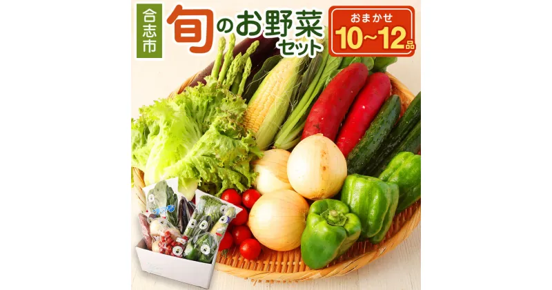 【ふるさと納税】合志の旬のお野菜 セット 10〜12品 旬 野菜 詰め合わせ 国産 九州産 熊本 合志市 送料無料