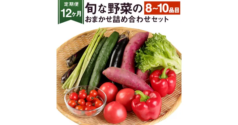 【ふるさと納税】【定期便 12か月】旬な野菜のおまかせ詰め合わせセット 8～10品目 5kg以内 毎月お届け 12カ月 旬 野菜 詰め合わせ 野菜詰め合わせ おまかせ 野菜セット セット 季節の野菜 新鮮 国産 九州産 熊本県産 送料無料