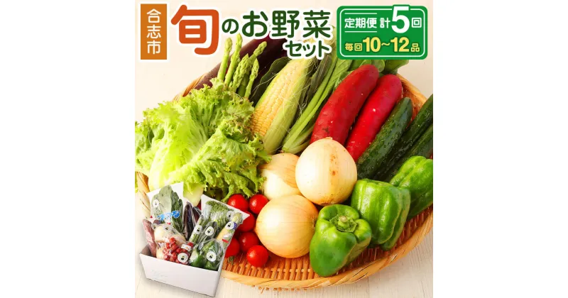 【ふるさと納税】【定期便】熊本県合志の旬のお野菜定期便 計5回コース 5回 おまかせ 野菜 季節の野菜 新鮮 旬 詰め合わせ 国産 九州産 熊本県 合志市 送料無料