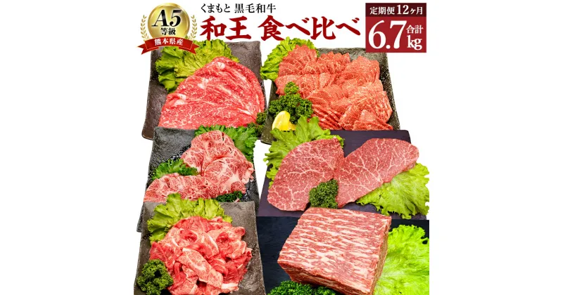 【ふるさと納税】【12ヶ月 定期便】熊本県産 A5 等級 黒毛和牛 和王 食べ比べ 合計6.7kg モモ もも肉 肩ロース ロース すき焼き 焼肉 ステーキ ブロック ブロック肉 スライス 小間切れ 赤身 お肉 牛肉 冷凍 国産 熊本県 合志市 送料無料