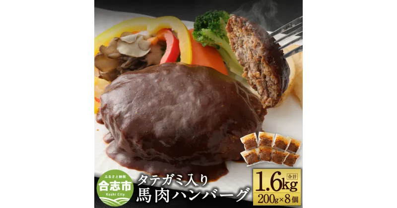 【ふるさと納税】タテガミ入り馬肉ハンバーグ 8個セット 合計約1.6kg 200g×8個 デミグラスソース ハンバーグ 馬肉 惣菜 おかず 真空パック 冷凍 熊本県 合志市 送料無料