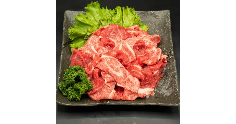 【ふるさと納税】【訳あり】小間切れ 熊本県産 A5等級 和王 赤身肉 800g 400g×2パック こま切れ 不揃い 赤身 お肉 牛肉 和牛 黒毛和牛 冷凍 国産 熊本県 合志市 送料無料