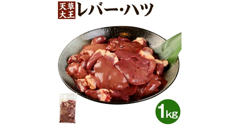 【ふるさと納税】天草大王 レバー・ハツ 1kg 肝 鶏肉 冷凍 国産 熊本県 合志市 送料無料