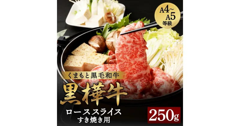 【ふるさと納税】くまもと黒毛和牛 黒樺牛 A4～A5等級 ローススライス すき焼き用 250g 牛肉 牛 お肉 鍋 すきやき しゃぶしゃぶ 薄切り スライス 黒毛和牛 国産 九州産 熊本県産 冷凍 送料無料