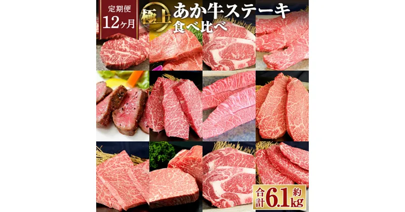 【ふるさと納税】【12ヶ月 定期便】あか牛 ステーキ 12種 極上 食べ比べ セット 合計約6.1kg お肉 牛肉 サーロインス ランプ 肩ロース イチボ 三角バラ カイノミ ミスジ クリミ ザブトン シャトーブリアン リブロース モモ たれ付き 赤牛 冷凍 熊本県 合志市 送料無料