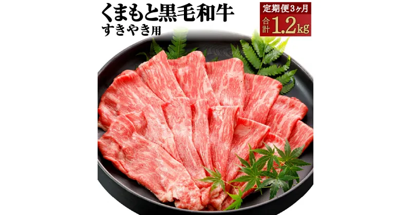 【ふるさと納税】【3ヶ月定期便】くまもと黒毛和牛 すきやき用 定期便 合計約1.2kg 約400g 3回 黒毛和牛 和牛 お肉 牛肉 霜降り 薄切り スライス すき焼き 国産 九州産 熊本県産 熊本県 合志市 冷凍 送料無料