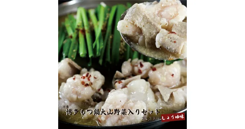 【ふるさと納税】 しょうゆ味 博多 もつ鍋 大山 野菜入り セット（2～3人前）冷蔵 熊本 美里町 黒毛 和牛 熊本県 醤油 お取り寄せ グルメ 醤油味 ホルモン ホルモン鍋 スープ 黒毛和牛 牛もつ ミックスホルモン 鍋セット 丸腸 センマイ 国産 人気 モツ 小腸