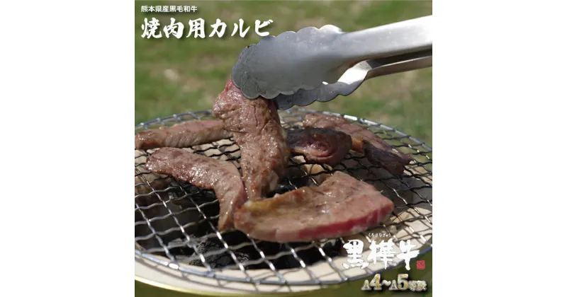 【ふるさと納税】熊本県産 黒毛和牛 黒樺牛 A4～A5等級 焼肉用 カルビ 500g 霜降り 牛肉 熊本県 牛肉 肉 霜降り バーベキュー BBQ 鉄板焼き お取り寄せ グルメ 杉本本店 国産 熊本 高級 お中元 ギフト お歳暮 お土産 お祝い 熊本 九州 贈答品 国産牛 贈答用 送料無料