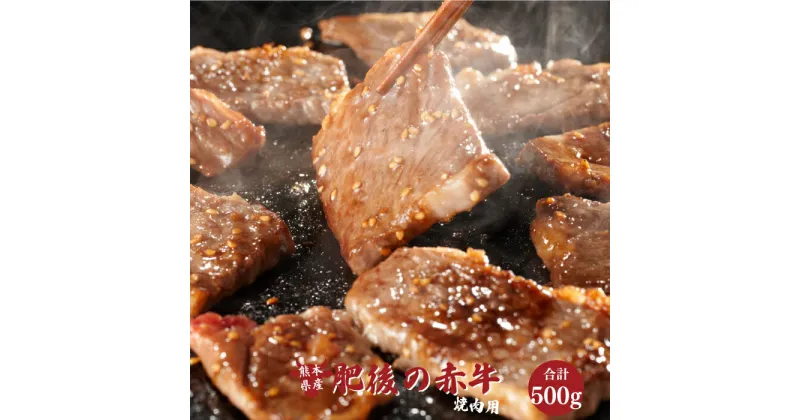 【ふるさと納税】肥後の赤牛 焼肉用 500g 熊本 美里町 くまもとあかうし 焼肉 熊本県 焼肉 牛 肉 赤牛 牛肉【価格変更】