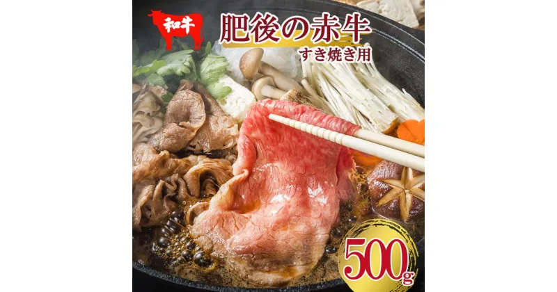 【ふるさと納税】肥後の赤牛 すき焼き用 しゃぶしゃぶ 500g 熊本 美里町 くまもとあかうし あか牛 焼肉【価格変更】