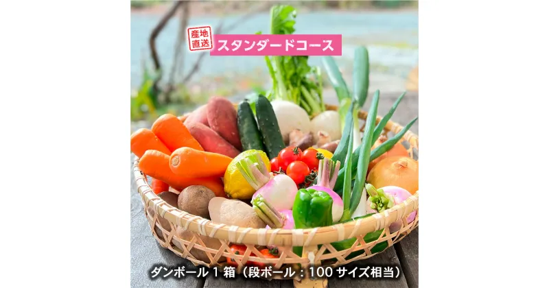 【ふるさと納税】 美里 の 特産品 詰め合わせ スタンダードコース 季節の野菜 や 特産品をお届け 熊本 美里町 や 道の駅 佐俣の湯