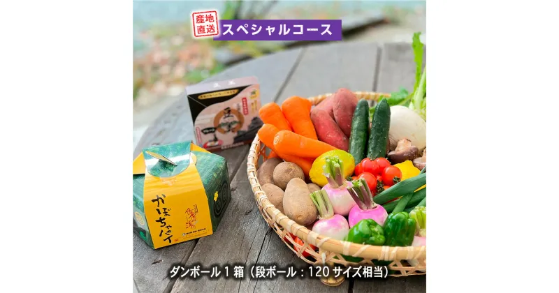 【ふるさと納税】 美里 の 特産品 詰め合わせ スペシャルコース 季節の野菜 や 特産品をお届け 熊本 美里町 や 道の駅 佐俣の湯