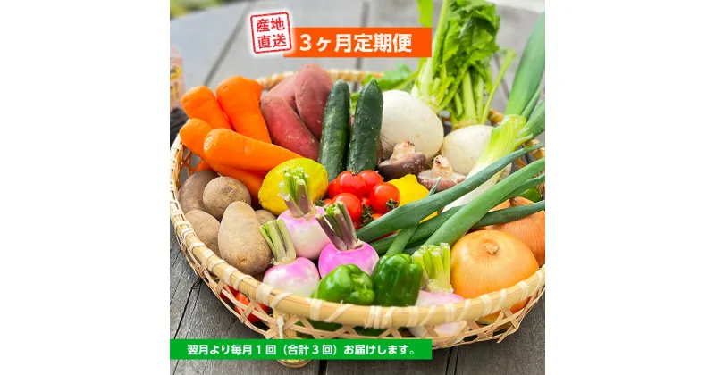 【ふるさと納税】 定期便 美里 の 特産品 詰め合わせ スタンダードコース 季節の野菜 や 特産品をお届け 熊本 美里町 や 道の駅 佐俣の湯 3ヶ月定期