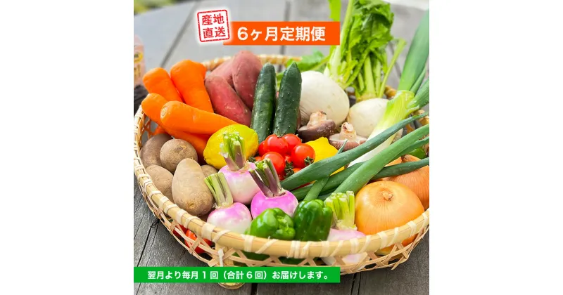 【ふるさと納税】 定期便 美里 の 特産品 詰め合わせ スタンダードコース 季節の野菜 や 特産品をお届け 熊本 美里町 や 道の駅 佐俣の湯 6ヶ月定期