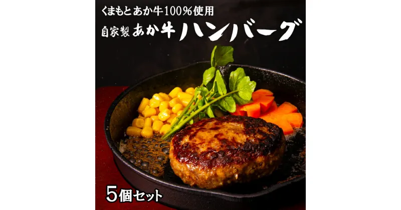 【ふるさと納税】 あか牛 ハンバーグ 5個 セット 熊本 美里町 くまもと くまもとあかうし 赤牛 畜産協同組合 個包装 冷凍 和牛 肉 牛肉