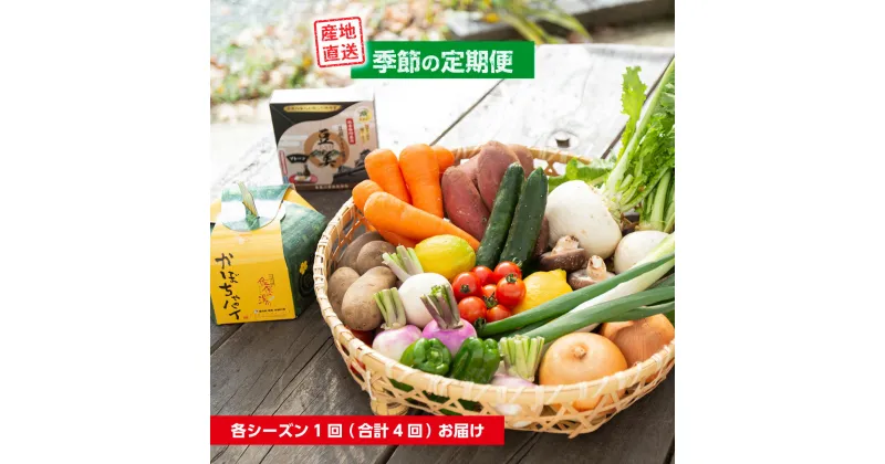 【ふるさと納税】 定期便 美里 の 特産品 詰め合わせ スペシャルコース 季節の野菜 や 特産品をお届け 熊本 美里町 や 道の駅 佐俣の湯 季節の定期