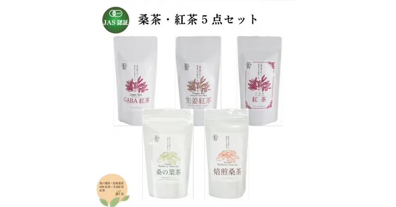 【ふるさと納税】 桑の葉茶 焙煎桑茶 GABA紅茶 生姜紅茶 紅茶 5点セット 熊本 美里町 JAS認証 桑 桑茶 GABA 生姜 さえあかり 茶 粉末 ティーバック 熊本県 ティー tea bag 5点 有機認証 農薬不使用 化学肥料不使用 有機肥料