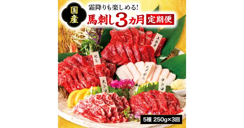 【ふるさと納税】熊本肥育熊本馬刺し 高級部位 食べ合わせ 250g 定期便 3ヵ月 上赤身 霜降り たてがみ 馬ヒレ 専用醬油付き 【熊本と畜】送料無料 馬刺し 馬肉 お中元 プレゼント ギフト お歳暮 お土産 お祝い 熊本 九州 美里町 041-491