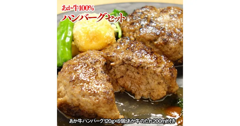 【ふるさと納税】くまもとあか牛100%ハンバーグ720g 120g×6個 送料無料 ハンバーグ 牛肉 あか牛 美里町 026-396