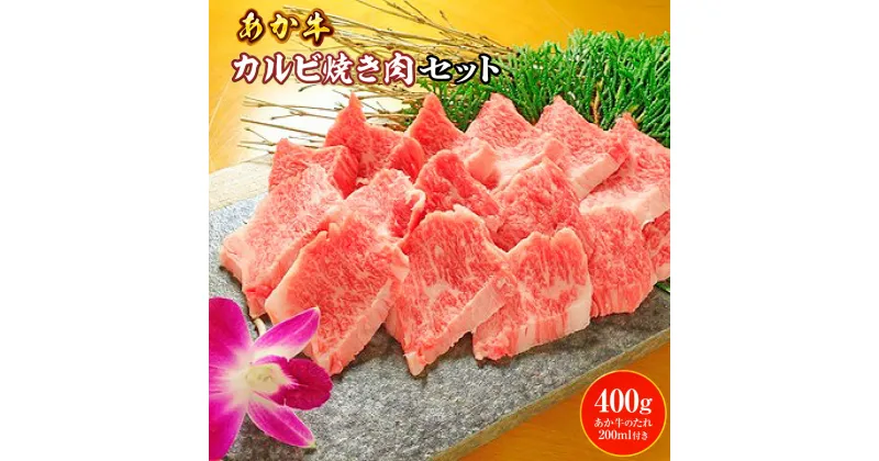 【ふるさと納税】 あか牛カルビ焼き肉セット あか牛 バラ カルビ 400g あか牛の たれ200ml付き 送料無料 牛肉 ブランド牛 切落とし 熊本県産 国産 高級 あか牛 赤牛 お中元 プレゼント ギフト お歳暮 お土産 お祝い 熊本 阿蘇 九州 牛 贈答品 国産牛 肉 和牛 赤身 贈答用