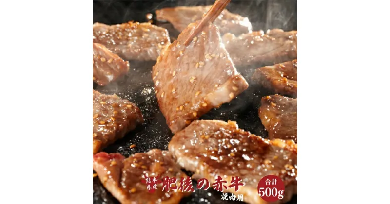 【ふるさと納税】定期便3回 肥後の赤牛 焼肉用 500g 送料無料 くまもと あかうし 牛 肉 赤牛 牛肉 熊本 美里町 031-013【価格変更】